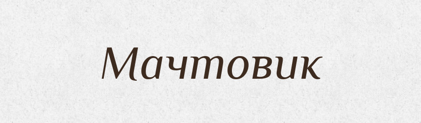 Мачтовик — Російсько-український академічний словник (А–П)