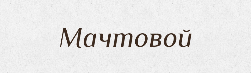 Мачтовой — Російсько-український академічний словник (А–П)