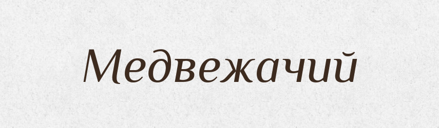 Медвежачий — Російсько-український академічний словник (А–П)