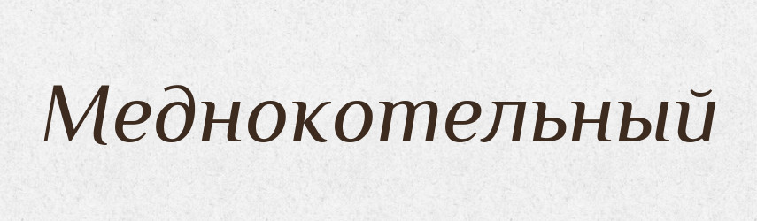 Меднокотельный — Російсько-український академічний словник (А–П)