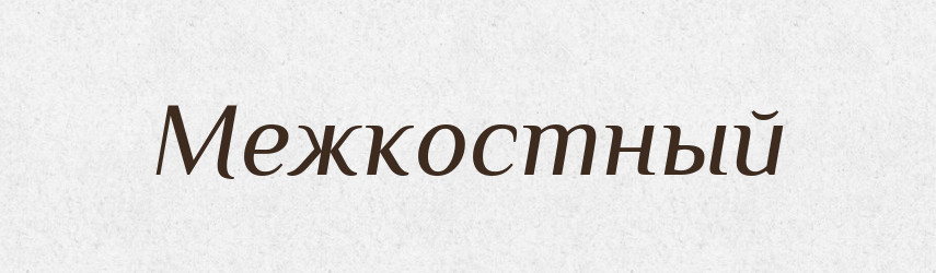 Межкостный — Російсько-український академічний словник (А–П)