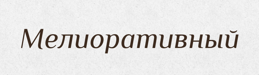 Мелиоративный — Російсько-український академічний словник (А–П)