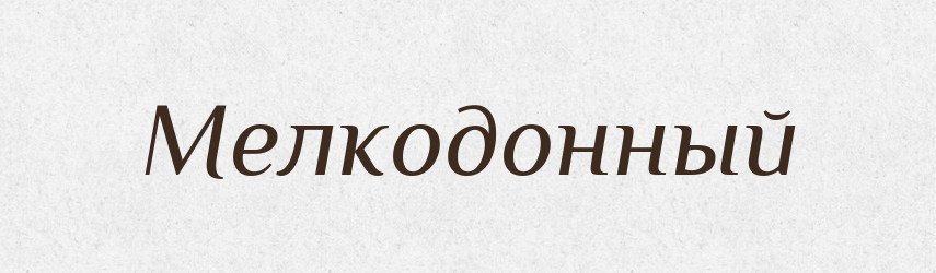 Мелкодонный — Російсько-український академічний словник (А–П)