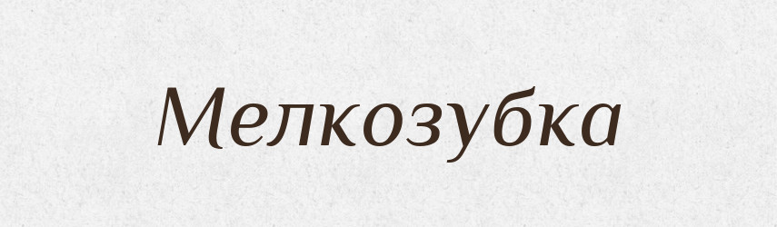Мелкозубка — Російсько-український академічний словник (А–П)