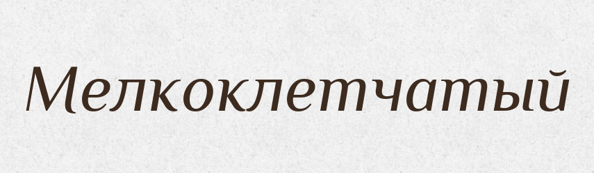 Мелкоклетчатый — Російсько-український академічний словник (А–П)