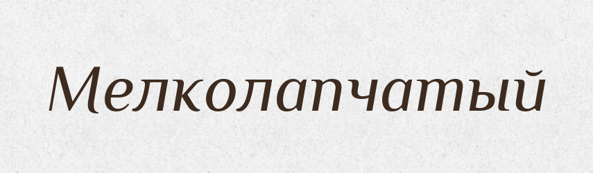Мелколапчатый — Російсько-український академічний словник (А–П)