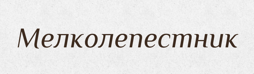 Мелколепестник — Російсько-український академічний словник (А–П)