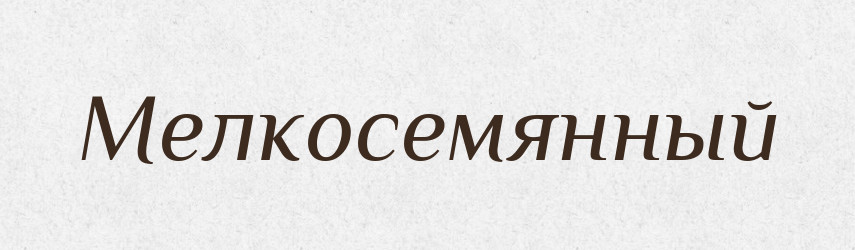 Мелкосемянный — Російсько-український академічний словник (А–П)