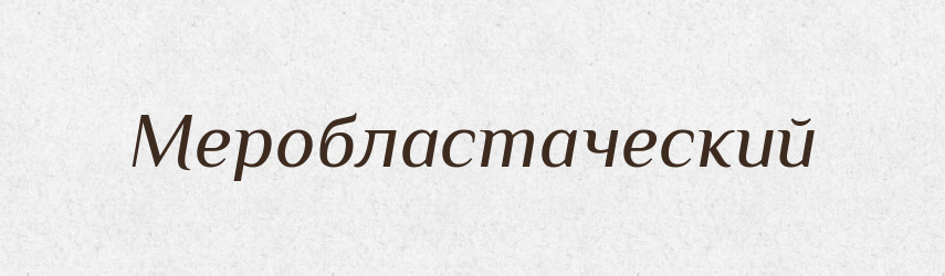 Меробластаческий — Російсько-український академічний словник (А–П)