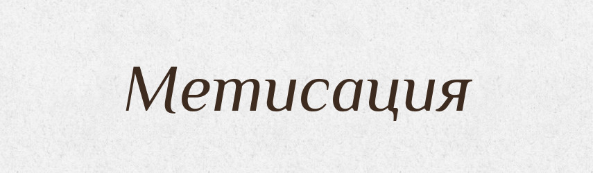 Метисация — Російсько-український академічний словник (А–П)