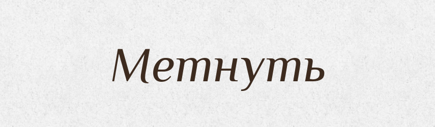 Метнуть — Російсько-український академічний словник (А–П)