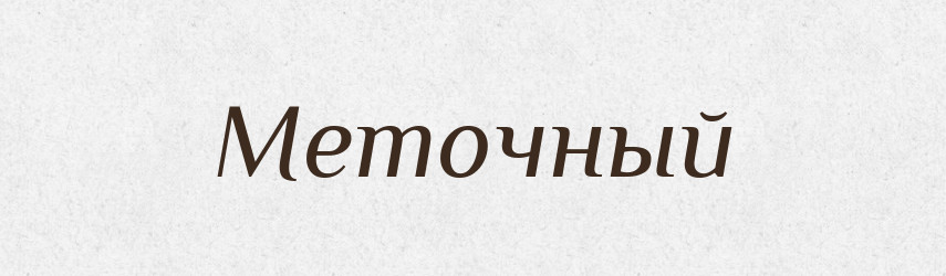 Меточный — Російсько-український академічний словник (А–П)