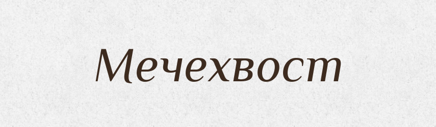 Мечехвост — Російсько-український академічний словник (А–П)