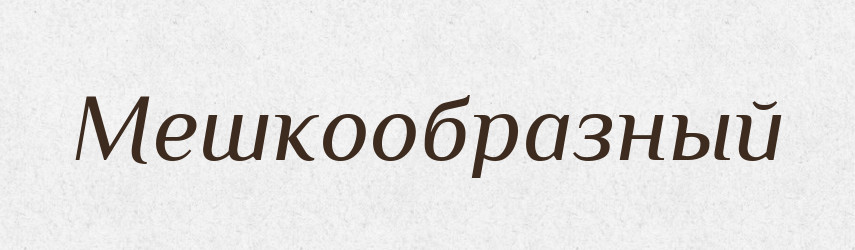 Мешкообразный — Російсько-український академічний словник (А–П)