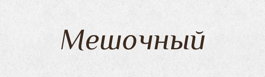 Мешочный — Російсько-український академічний словник (А–П)
