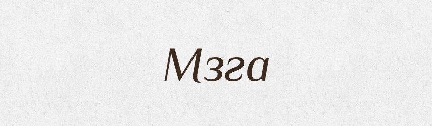Мзга — Російсько-український академічний словник (А–П)
