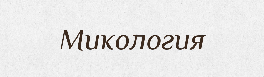Микология — Російсько-український академічний словник (А–П)