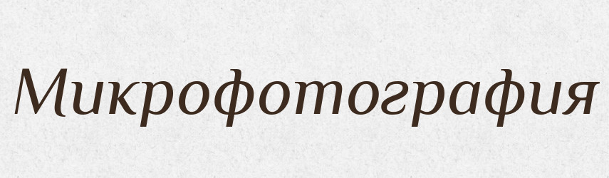 Микрофотография — Російсько-український академічний словник (А–П)