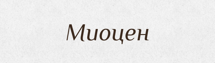 Миоцен — Російсько-український академічний словник (А–П)
