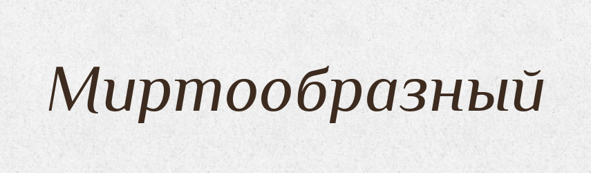 Миртообразный — Російсько-український академічний словник (А–П)