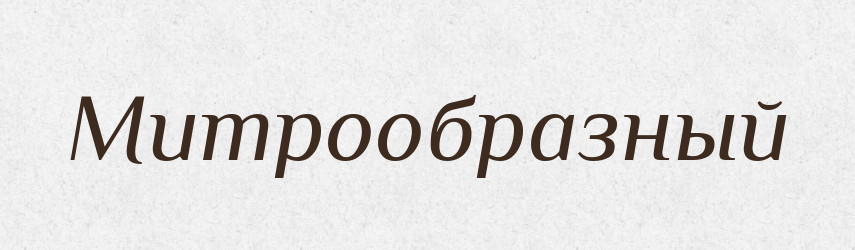 Митрообразный — Російсько-український академічний словник (А–П)