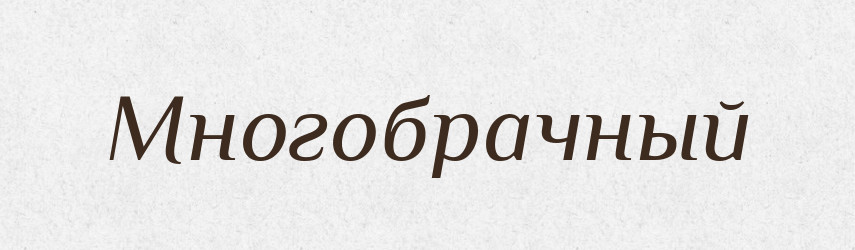 Многобрачный — Російсько-український академічний словник (А–П)
