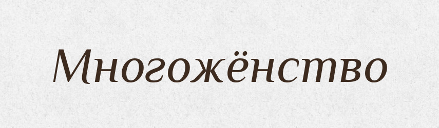 Многожёнство — Російсько-український академічний словник (А–П)
