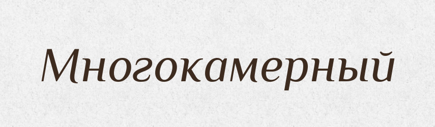 Многокамерный — Російсько-український академічний словник (А–П)