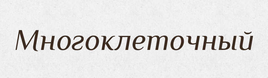 Многоклеточный — Російсько-український академічний словник (А–П)