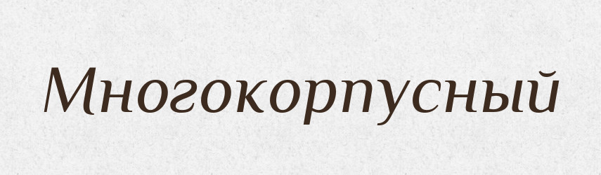 Многокорпусный — Російсько-український академічний словник (А–П)