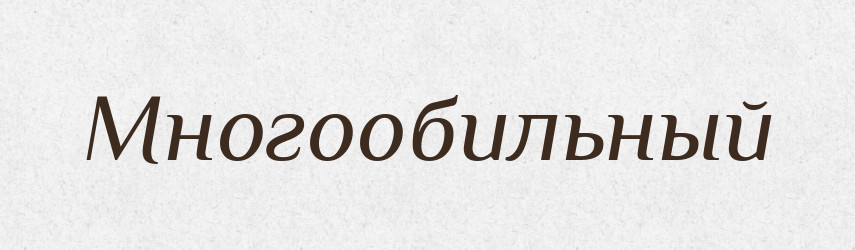 Многообильный — Російсько-український академічний словник (А–П)