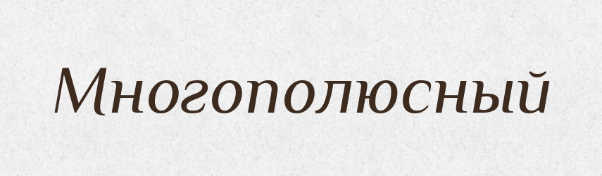 Многополюсный — Російсько-український академічний словник (А–П)