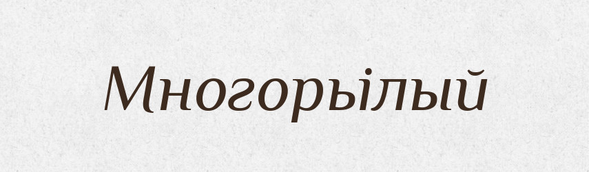Многорьілый — Російсько-український академічний словник (А–П)