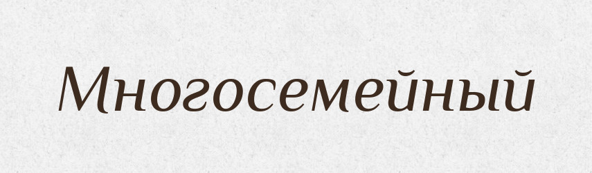 Многосемейный — Російсько-український академічний словник (А–П)