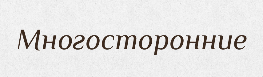 Многосторонние — Російсько-український академічний словник (А–П)