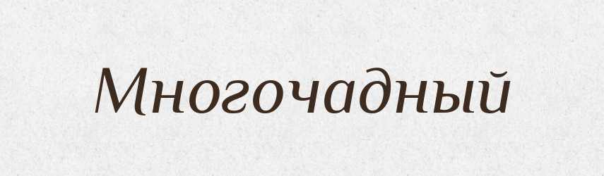 Многочадный — Російсько-український академічний словник (А–П)