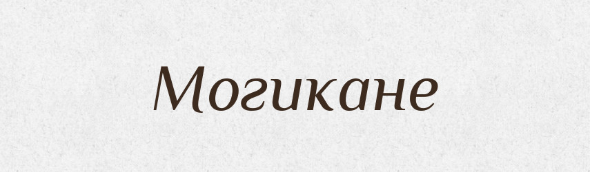 Могикане — Російсько-український академічний словник (А–П)