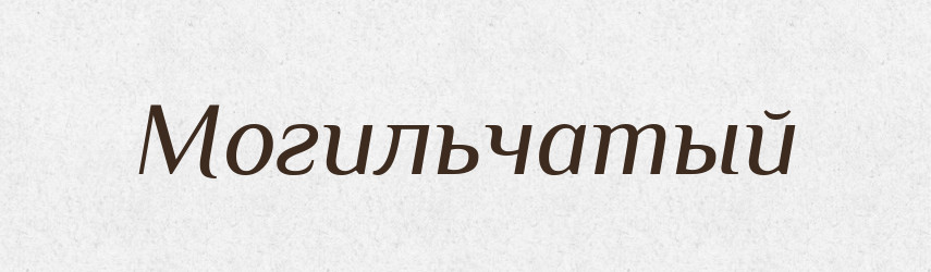 Могильчатый — Російсько-український академічний словник (А–П)