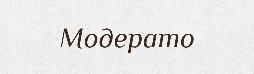 Модерато — Російсько-український академічний словник (А–П)