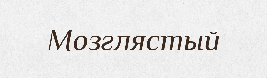 Мозглястый — Російсько-український академічний словник (А–П)