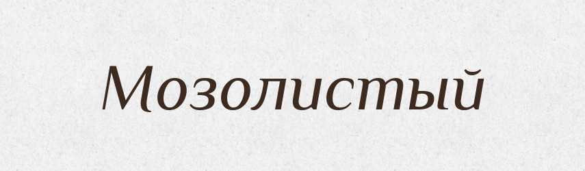 Мозолистый — Російсько-український академічний словник (А–П)