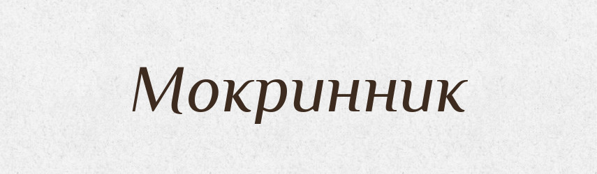 Мокринник — Російсько-український академічний словник (А–П)