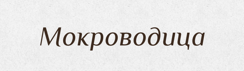 Мокроводица — Російсько-український академічний словник (А–П)