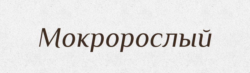 Мокророслый — Російсько-український академічний словник (А–П)