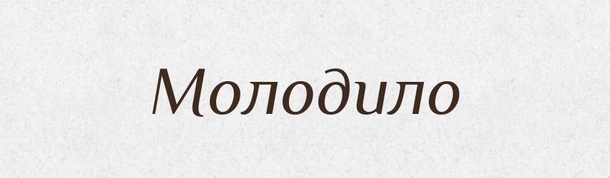 Молодило — Російсько-український академічний словник (А–П)