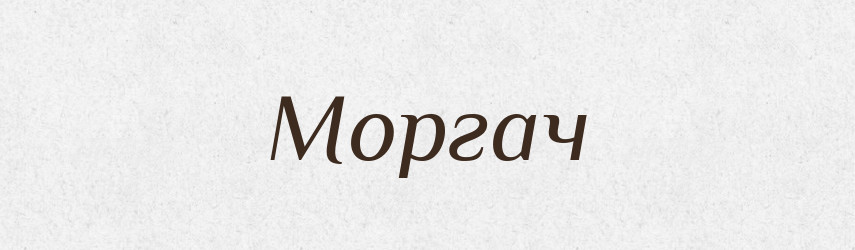 Моргач — Російсько-український академічний словник (А–П)
