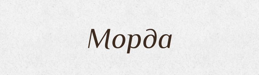 Морда — Російсько-український академічний словник (А–П)