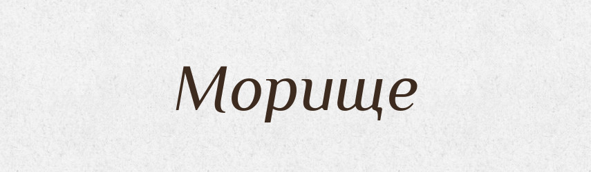 Морище — Російсько-український академічний словник (А–П)