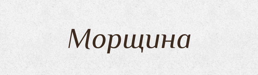 Морщина — Російсько-український академічний словник (А–П)