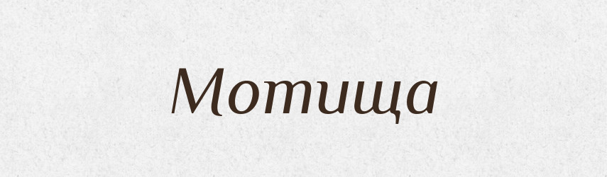 Мотища — Російсько-український академічний словник (А–П)